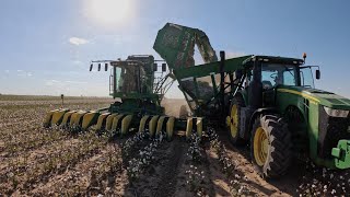 2024 West Texas Cotton Harvest day 7 [upl. by Lladnek]