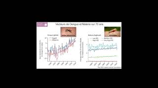 Les maladies vectorielles les vecteurs de Dengue et Malaria [upl. by Manolo]