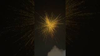 Hot black firecracker 2024 crackers firecracker trending fireworks viralvideo diwali shots [upl. by Waldo186]