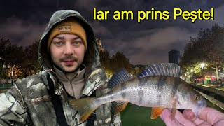 In FRIG și PLOAIE am PESCUIT dar PEȘTELE tot lam PĂCĂLIT 🐟 [upl. by Papst]