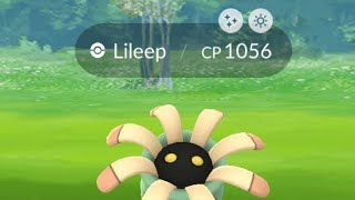 Hunting✨️Shiny Lileep On Spotlight Hour PokemonGo [upl. by Dick449]