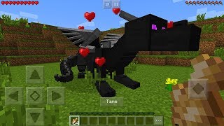 How To Tame a Ender Dragon in Minecraft Pocket Edition Ride Dragon Addon [upl. by Bast]