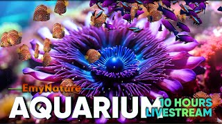 🐠 10Hour Violet Anemone styled Aquarium with Relaxing Music  Sleep Aid amp Stress Relief [upl. by Field]