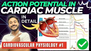 Cardiac Action Potential  Cardiology  Lecturio [upl. by Wil]