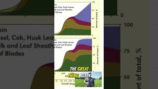 SciKeyword Nutrients Science class7 chapter1 Nutrition in plants [upl. by Atsuj]