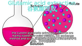 Glutamic acid extraction [upl. by Yadnil485]