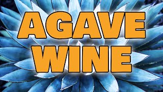 Agave Wine  Lets Make Agave Nectar Wine at Home [upl. by Legir605]