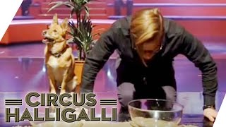 Circus Halligalli Aushalten Wetten dass  Teil 2  ProSieben [upl. by Lamoree979]