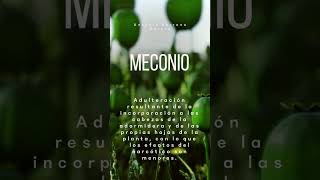 MECONIO [upl. by Cassandry]