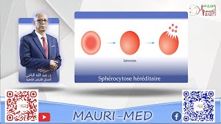 Hématologie  Sphérocytose héréditaire [upl. by Bradly]