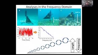 BECS meeting May 9 2023 Topic Oxygen fluxes [upl. by Ecela]