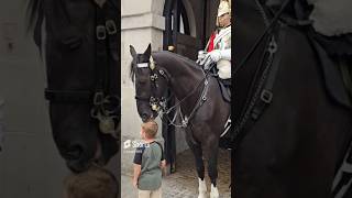 HORSE PLAYING WITH KIDS HAIR horse [upl. by Albers452]