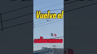 El culiacanazo lospshorts narcos culiacan ejercitomexicano narcosmexico [upl. by Ylil]