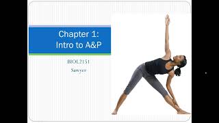 Chapter 1 Lecture Video [upl. by Teak]