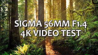 SIGMA 56mm F14 DC DN Contemporary Lens  4k VIDEO TEST amp REVIEW [upl. by Moffat411]