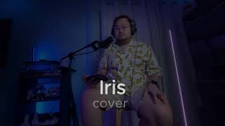 Iris  by Goo Goo Dolls cover [upl. by Brigg515]