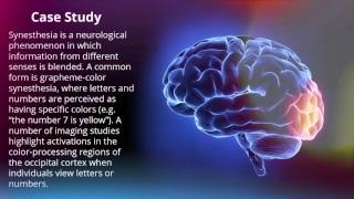 Occipital Lobe  Human Brain Series  Part 7 [upl. by Wohlert]