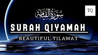 Beautiful Quran Recitation Emotional For Sleep Surah QIYAMAH [upl. by Alodie960]