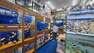 Karnataka Aquarium Fish Shop Bangalore [upl. by Katrinka304]