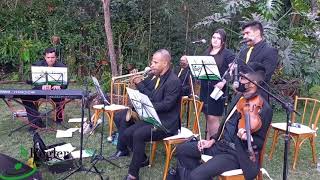 Felicidade  Seu Jorge Casamento em Goiânia Saída dos Noivos  Régler Coral e Orquestra [upl. by Macario]