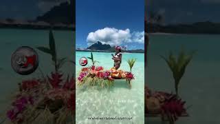 📍Borabora  Ilha na Polinésia Francesaborabora travel trip viajar arrobax paradise paraiso [upl. by Orten]