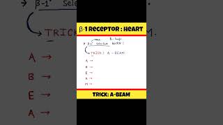 Trick to remember Beta1 selective blocker ytshorts PharmaRealm [upl. by Lertnek269]