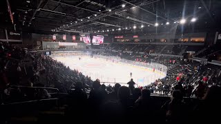 Teddy Bear Toss  AHL Rockford Icehogs Vlog [upl. by Isaak20]