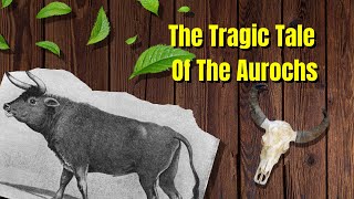 The Tragic Tale Of The Aurochs  Extinction Stories  The Florist And Faunist [upl. by Nidak]