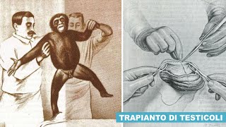 I bizzarri trapianti di Testicoli di SCIMMIA nell’UOMO [upl. by Lara]