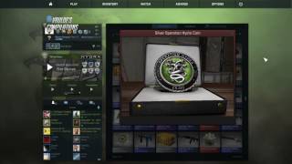 CSGO Operation Hydra Coin Silver [upl. by Maurise]