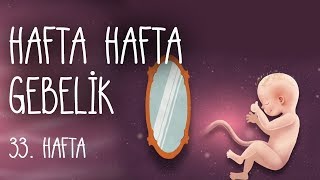 Hafta Hafta Gebelik 33 hafta [upl. by Lleunamme]