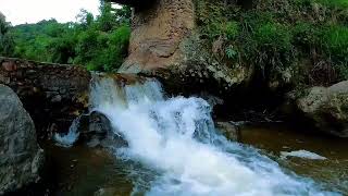 Healing River ASMR  Soothing Water Sounds to Combat Insomnia [upl. by Oag435]