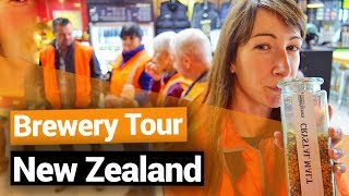 🍺 Monteith’s Brewery Tour Greymouth  New Zealands Biggest Gap Year – Backpacker Guide New Zealand [upl. by Alesram]