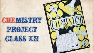 Chemistry project file  class XII  topic  enzyme catalysis  muskanarts [upl. by Ahsatam28]