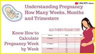 How to Calculate Your Pregnancy by Weeks Months amp TrimestersWeeks into MonthsDue Date Calculator [upl. by Wolsky234]