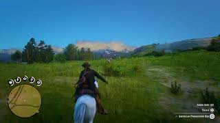 Red Dead Redemption 2 How To Get Perfect Pelts [upl. by Adiari]