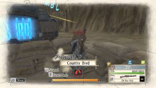 Valkyria Chronicles  Skirmish 5 A  1 Turn  Upper Fouzen Normal [upl. by Ryhpez]