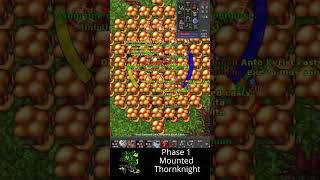 Taking down thorn knight tibia tibiagame crawly [upl. by Zosi]