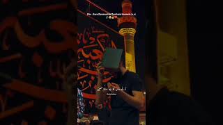 Sara zamana hai tumhara hussain [upl. by Libyc]