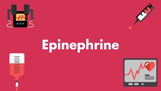 Epinephrine  Vasopressors amp Inotropes  MEDZCOOL [upl. by Pape]