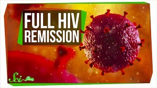 The SecondEver Case of Full HIV Remission  SciShow News [upl. by Ebby949]