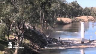 Induced collapse of the Hampden Bridge Wagga Wagga [upl. by Zalea]