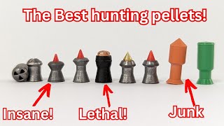 Accuracy testing the most extreme hunting pellets inc JSB Hades Predator and Gamo lethal [upl. by Graybill]