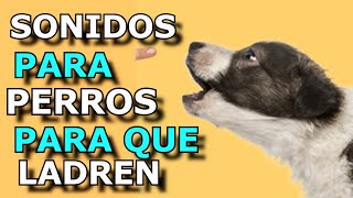 Sonido de Perro 🐶 🐶 Los mejores LADRIDOS DE PERROS 🐶 [upl. by Kaye]