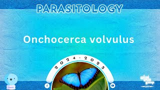 L2 Part2  Lymphatic filariasis Onchocerca volvulus  Parasitology [upl. by Joseph]