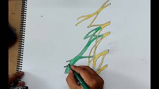 how to draw lumbar plexus I how to draw lumbar plexus easily [upl. by Ekram558]