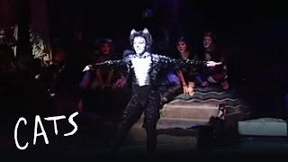 Mr Mistoffelees Jhean Allex  Brazil  Cats the Musical [upl. by Tews242]