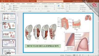 ESPIROMETRIA FISIOLOGIA PRACTICA [upl. by Nelly761]