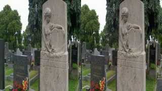 Der Ottakringer Friedhof in 3D [upl. by Llij]