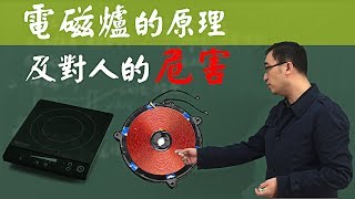 电磁炉对人的危害有多大？电磁炉的原理是什么？李永乐老师告诉你 [upl. by Oniotna]